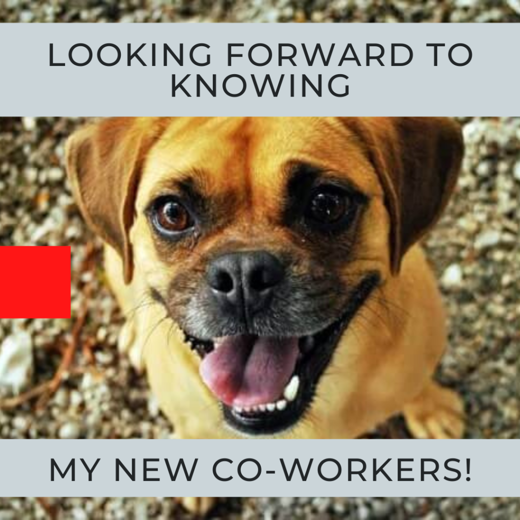 The stages of development in the life of a work team