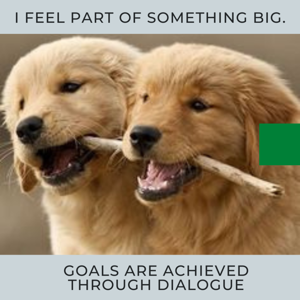 The stages of development in the life of a work team