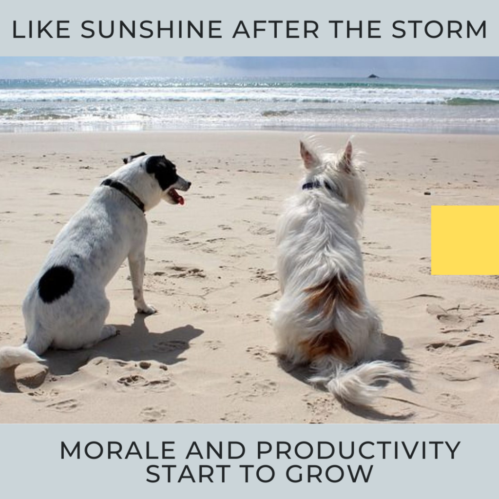 The stages of development in the life of a work team