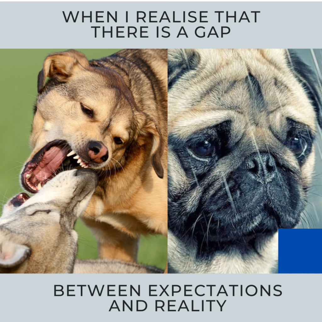 The stages of development in the life of a work team