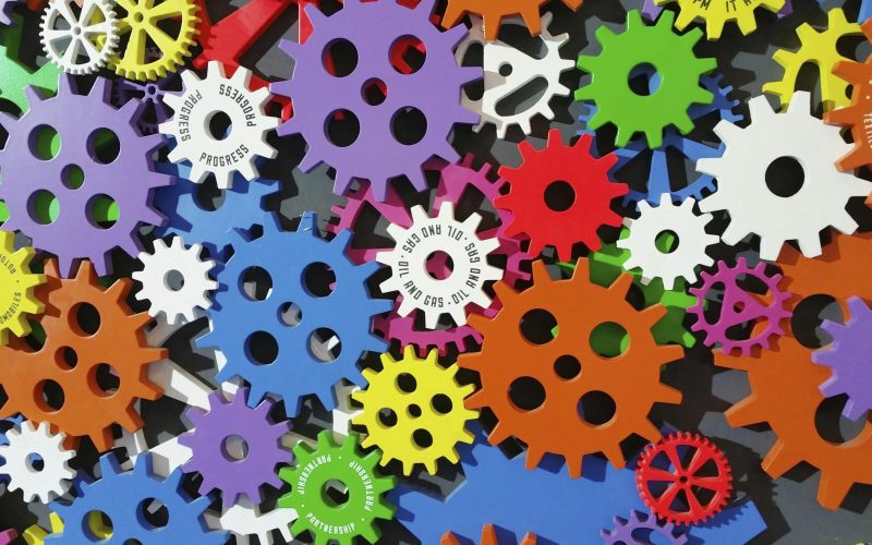 Barbara Meo-Evoli for boards